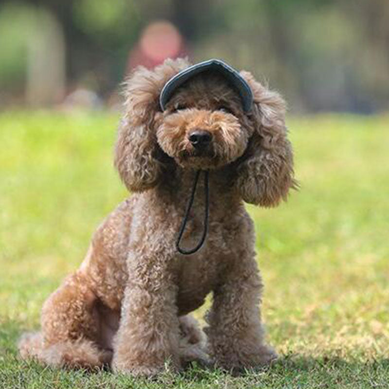 BarkBrim™ Outdoor Dog Hat