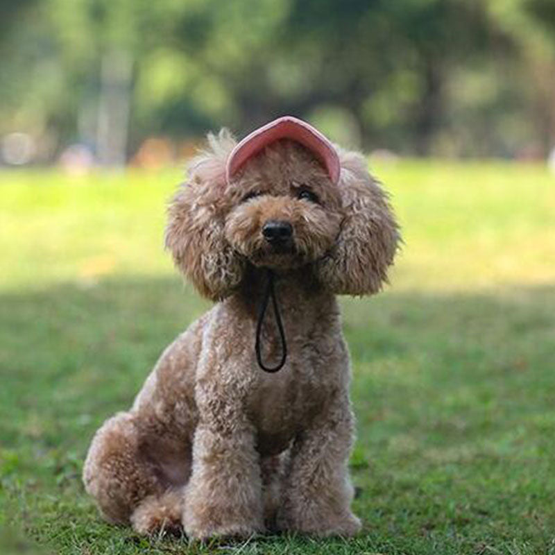 BarkBrim™ Outdoor Dog Hat