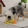 PlayQuack™ Calming Duck Toy